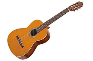 Beginner Acoustic Guitar Lessons Weston-super-Mare