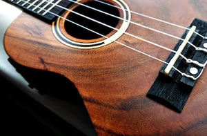 Ukulele Lessons Penrith (CA11) Ukulele Lessons Penrith (CA11)
